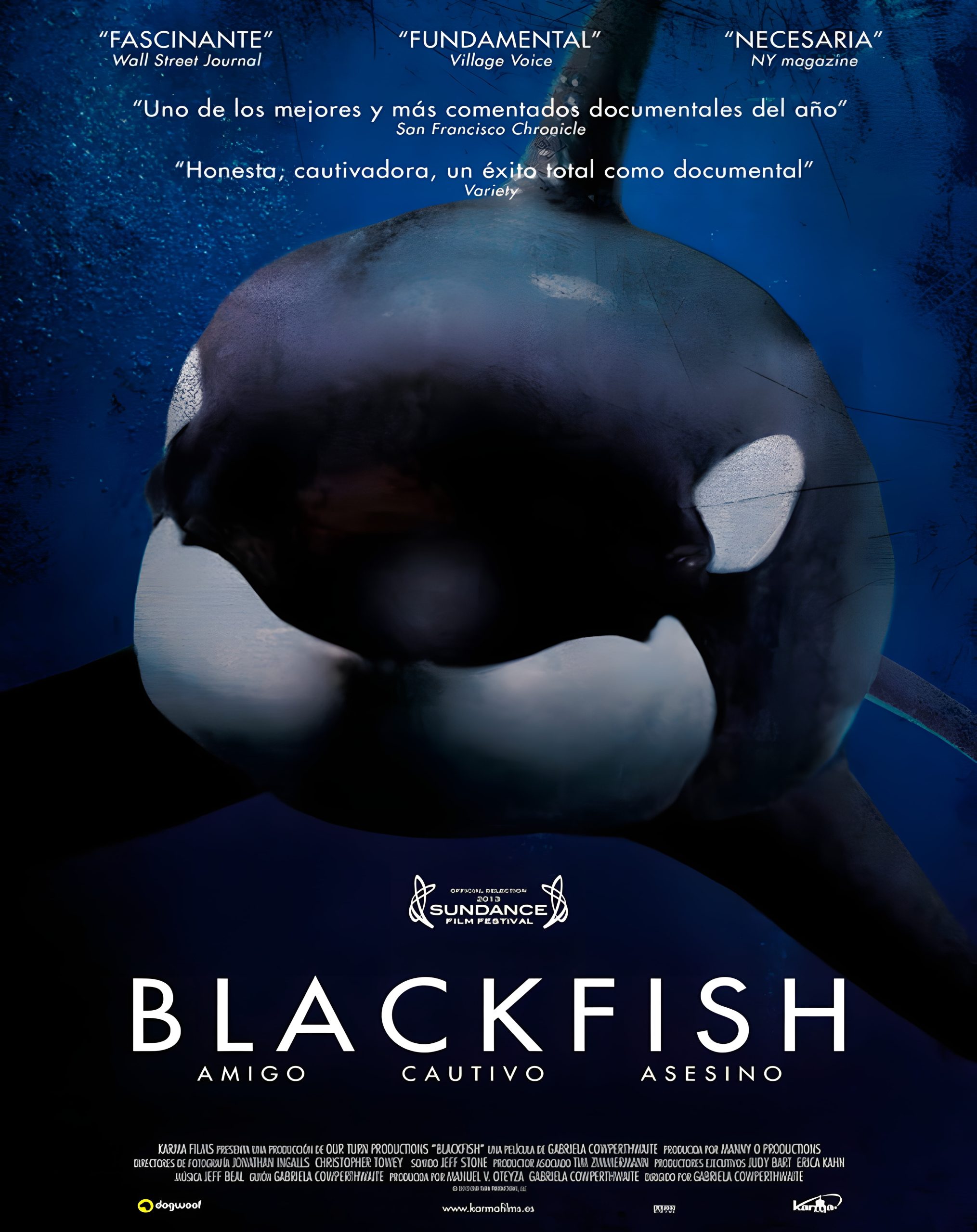 En este momento estás viendo BLACKFISH